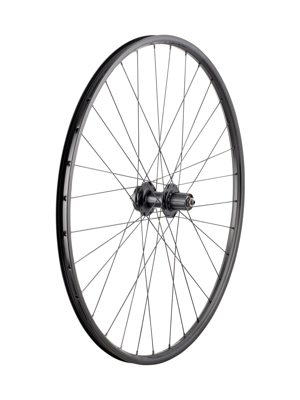 Bontrager Connection Quick Release 6-Bolt Disc 29˝ MTB Wheel