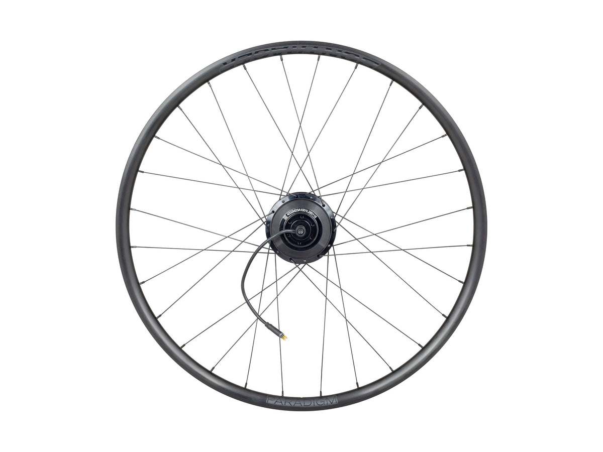 Bontrager Paradigm TLR 700c Disc 12-Speed Hyena Road Rear Wheel