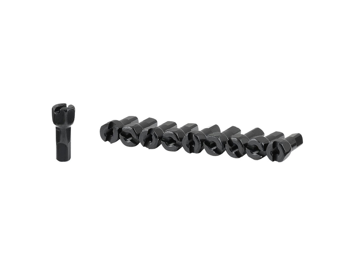 DT Swiss Nipple raggi ProLock lega Bontrager sistemi ruote conf. 10