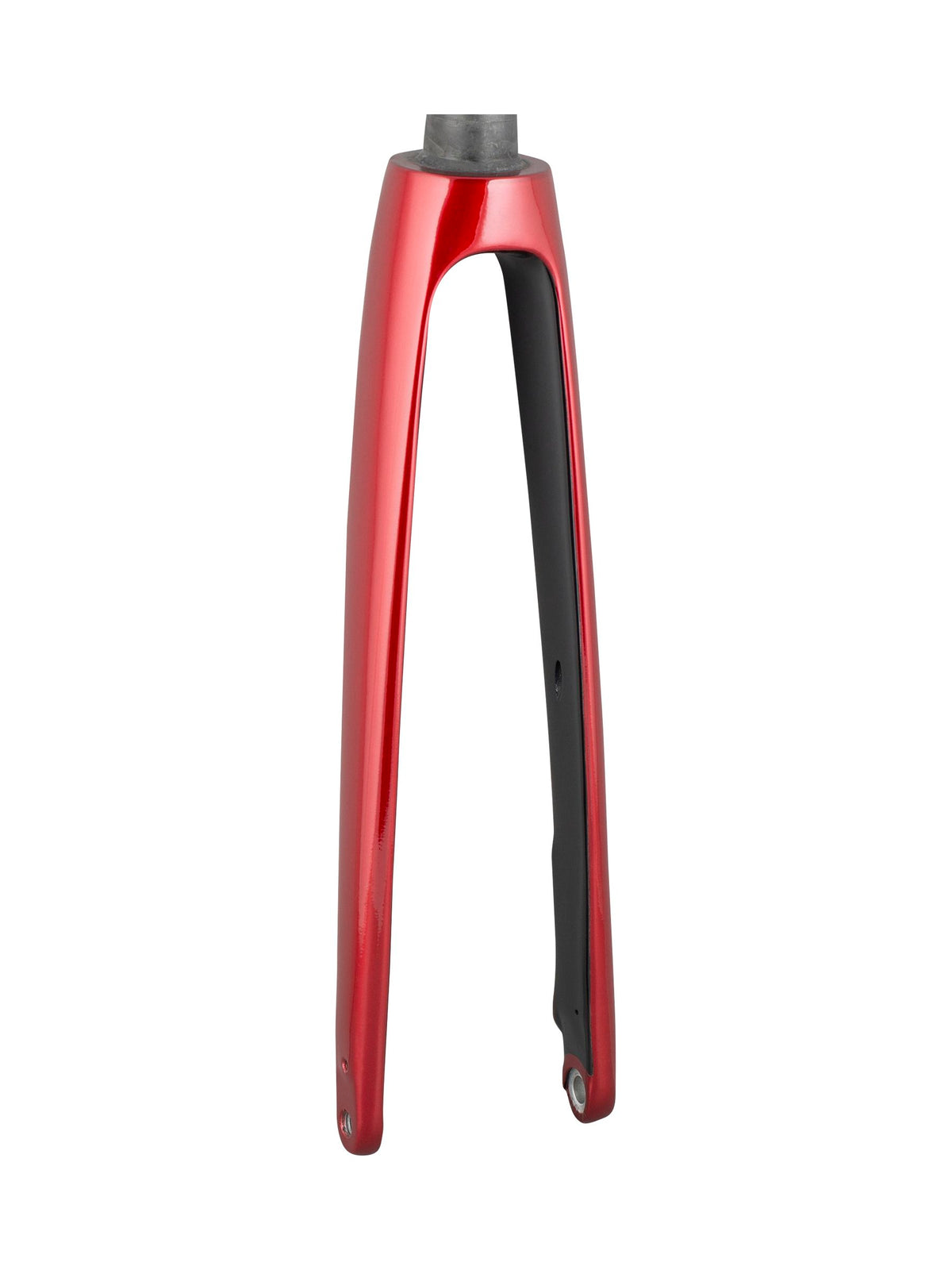 Trek 2021 Domane+ ALR 700c Rigid Fork