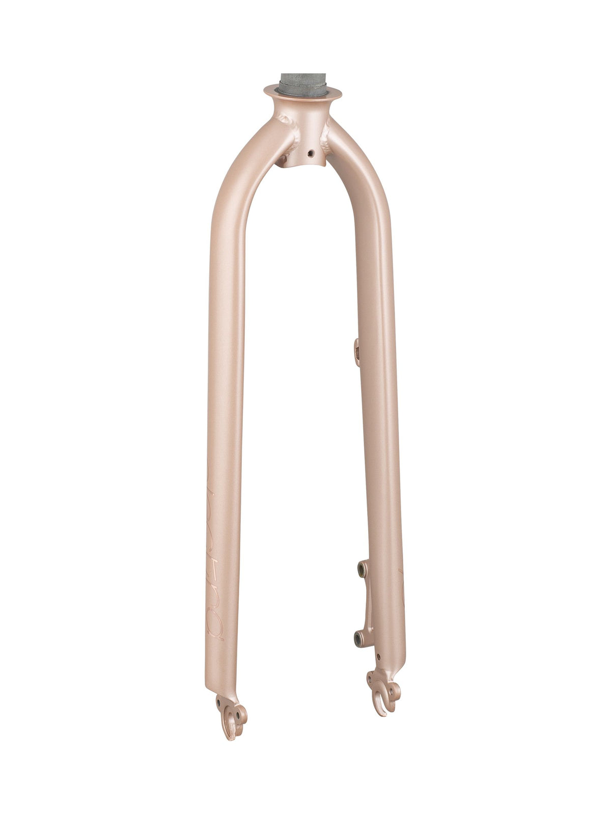 Electra Townie Go! 8i Ladie's Disc 26˝ Brake Rigid Fork