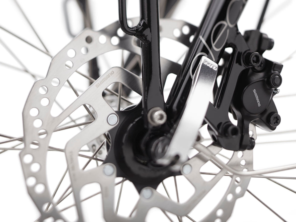 Electra Townie Commute Go! 5i Step-Over