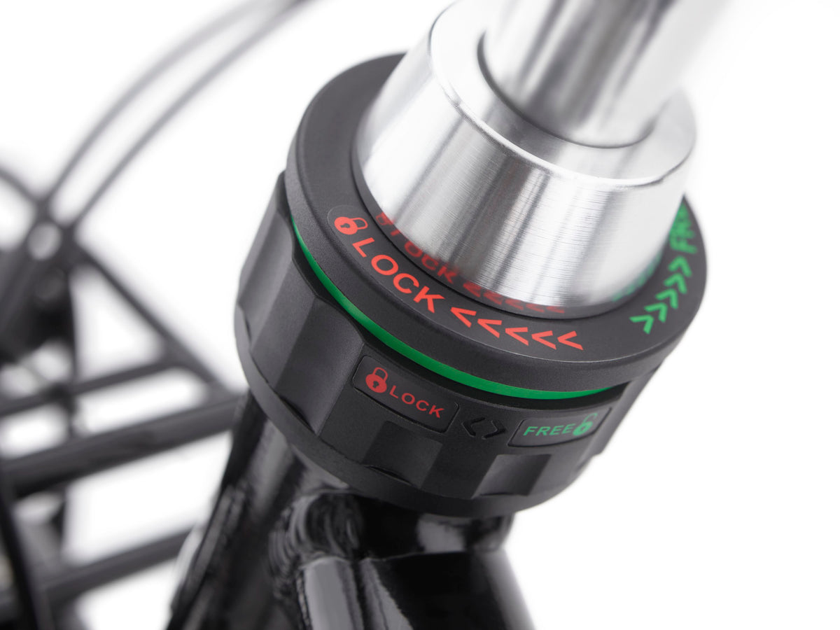 Electra Townie Commute Go! 5i Step-Over