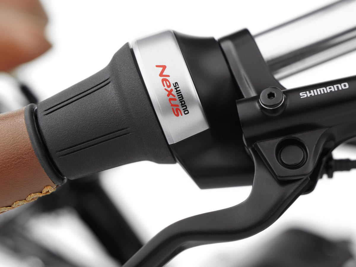 Electra Townie Commute Go! 5i Step-Over