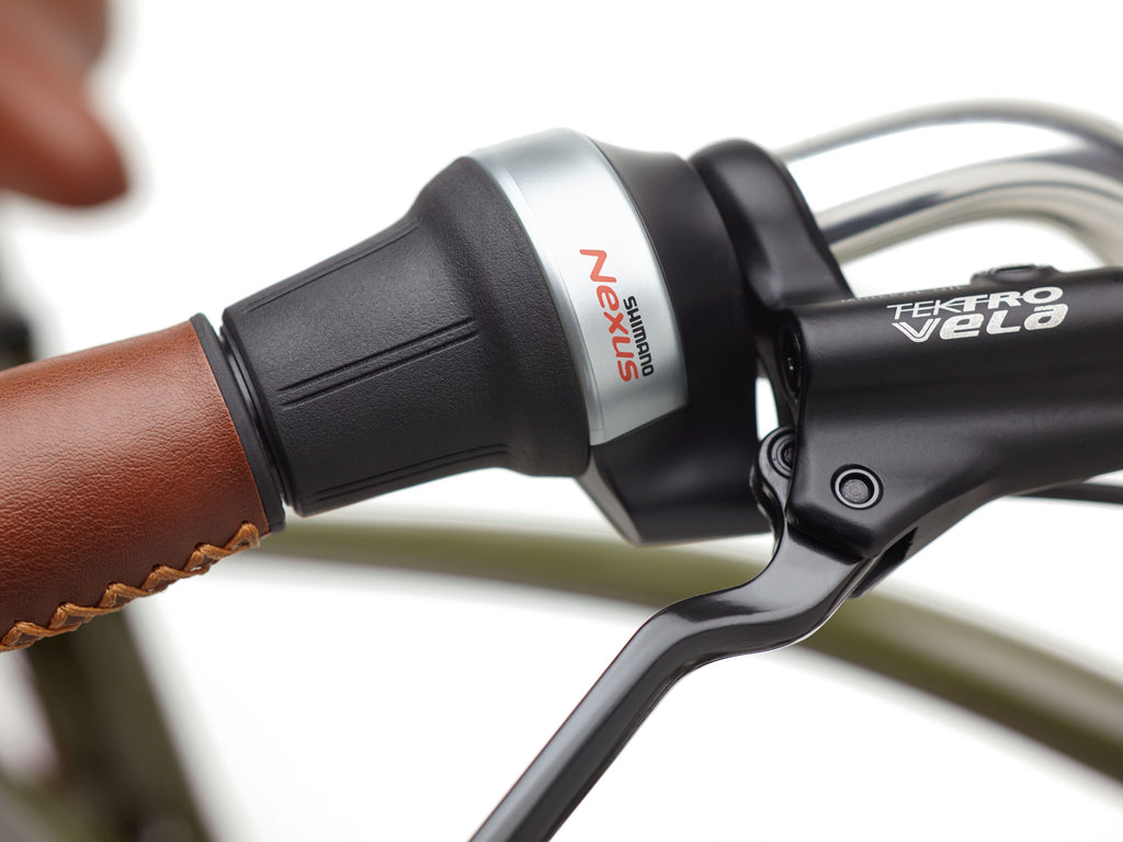 Electra Townie Go! 5i Step-Over
