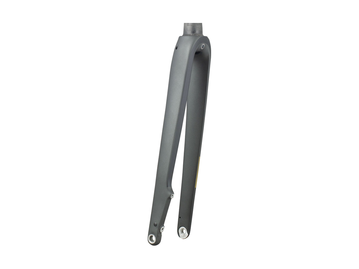 Trek 2025 Domane+ AL 700c Rigid Fork