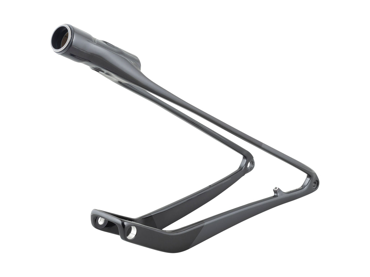 Trek 2024-2025 Supercaliber M-XL Swingarm Assembly