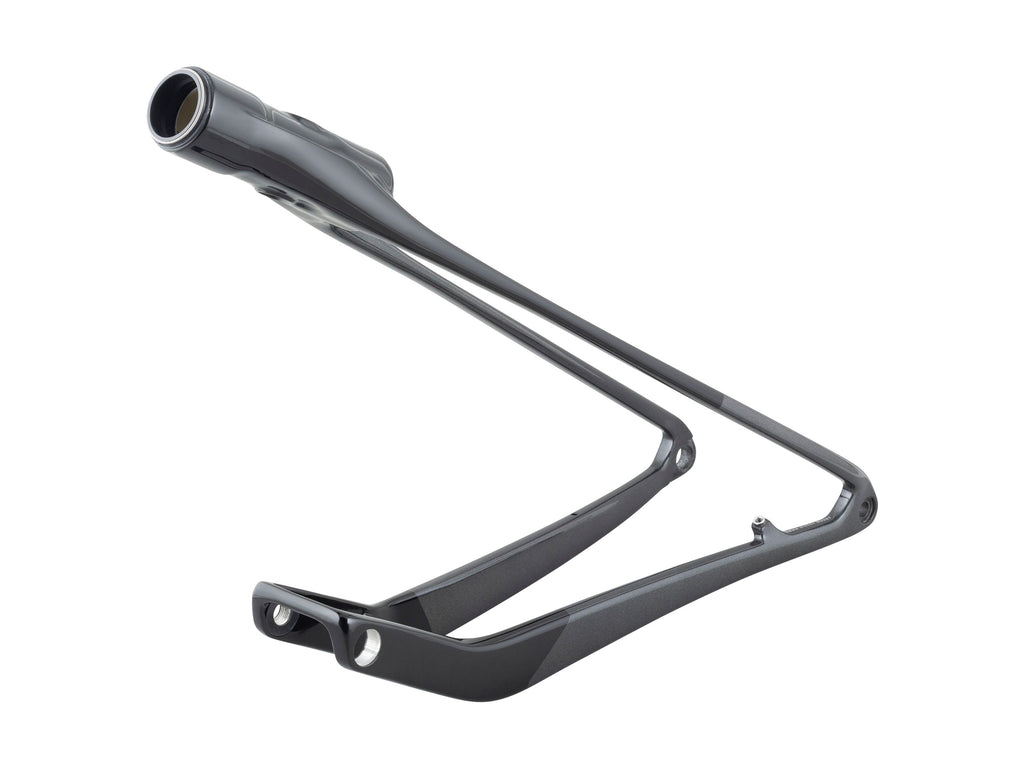 Trek 2024-2025 Supercaliber M-XL Swingarm Assembly
