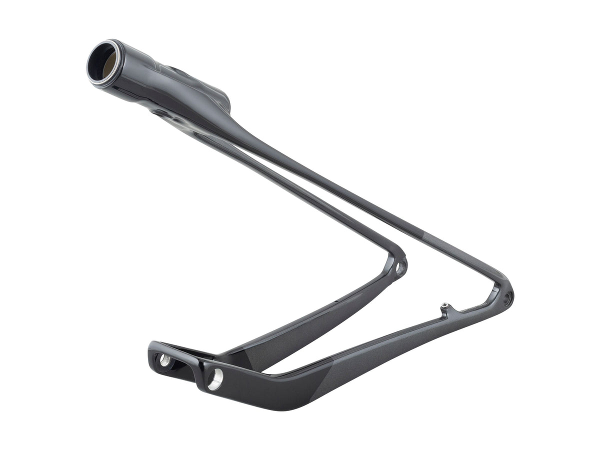 Trek 2024-2025 Supercaliber M-XL Swingarm Assembly