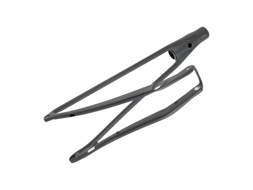 Trek 2024-2025 Supercaliber M-XL Swingarm Assembly