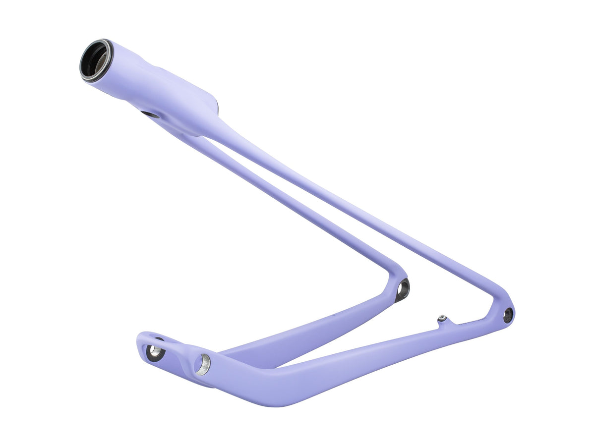 Trek 2024-2025 Supercaliber M-XL Swingarm Assembly