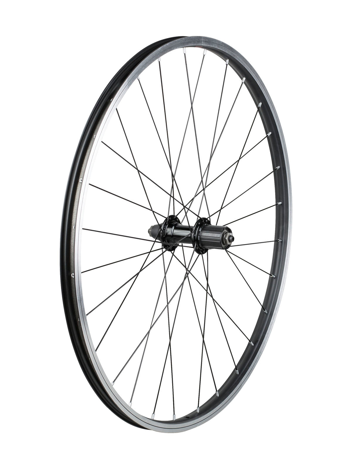 Ruote Trek bambino 26˝