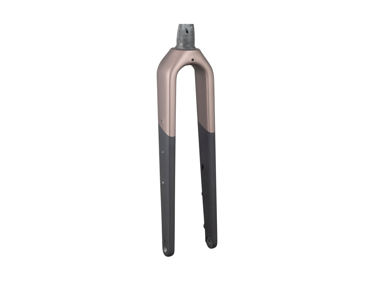 Trek Checkpoint + SL Gen 1 700c Rigid Fork