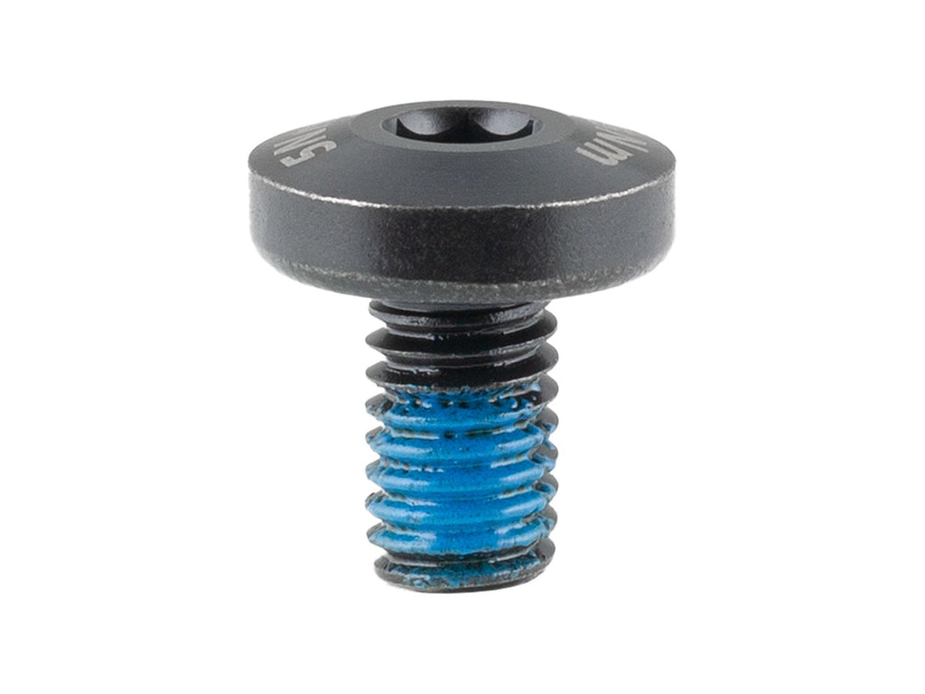 Trek Domane+ ALR M6x1.0x10mm Battery Bolt
