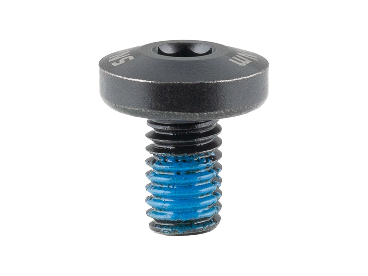 Trek Domane+ ALR M6x1.0x10mm Battery Bolt