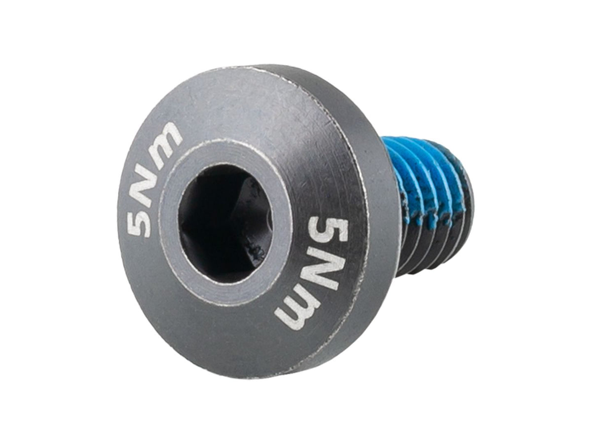 Trek Domane+ ALR M6x1.0x10mm Battery Bolt