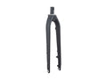 Trek Dual Sport 2 Thru-Axle 29˝ Rigid Fork