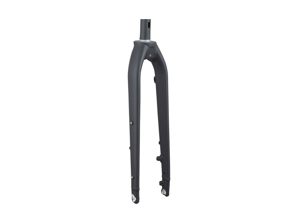Trek Dual Sport 2 Thru-Axle 29˝ Rigid Fork