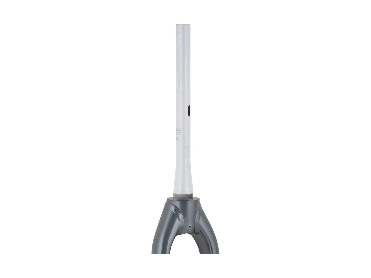 Trek Fetch+ 2 20˝ Rigid Fork