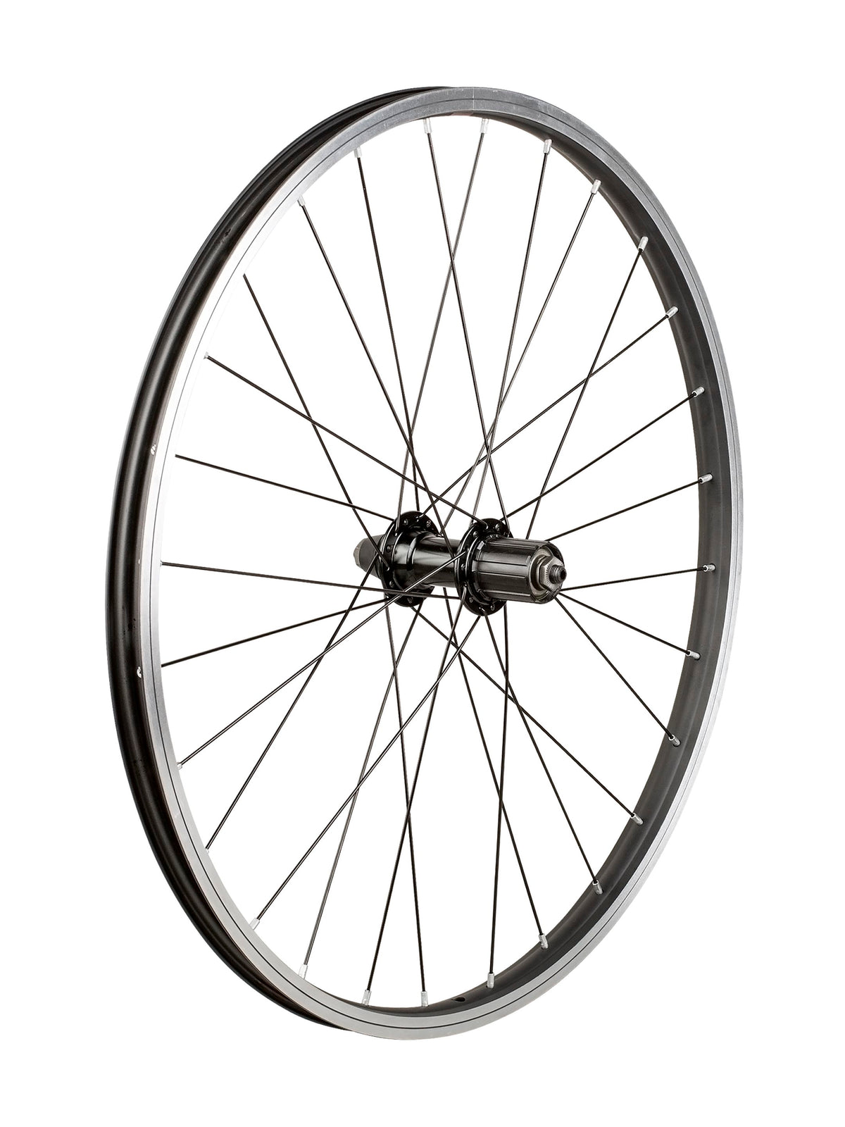 Trek Kids' 28 Hole 24˝ Wheel