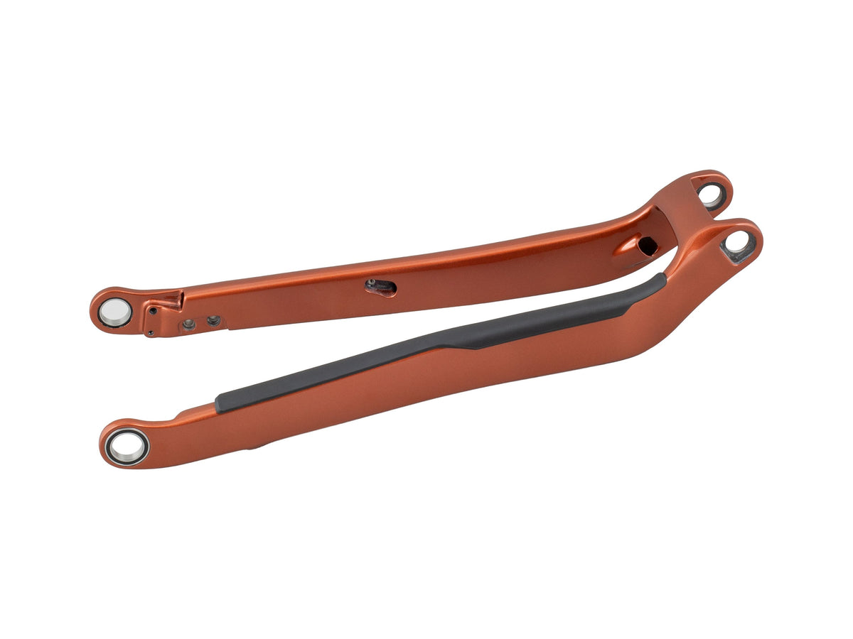 Trek 2020-2023 Rail 29 Carbon Chainstay