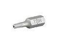 Trek T15 Security Bit